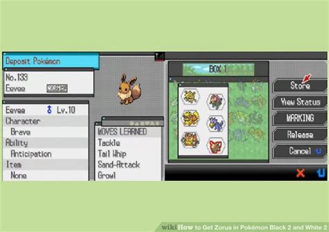 how to get zoroark in pokemon black 2|How to Get Zorua in Pokémon Black 2 and White 2: 5 Steps.